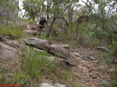20070114-Coba 193 
